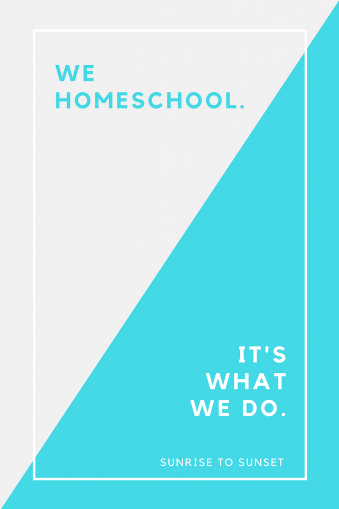Why We Homeschool