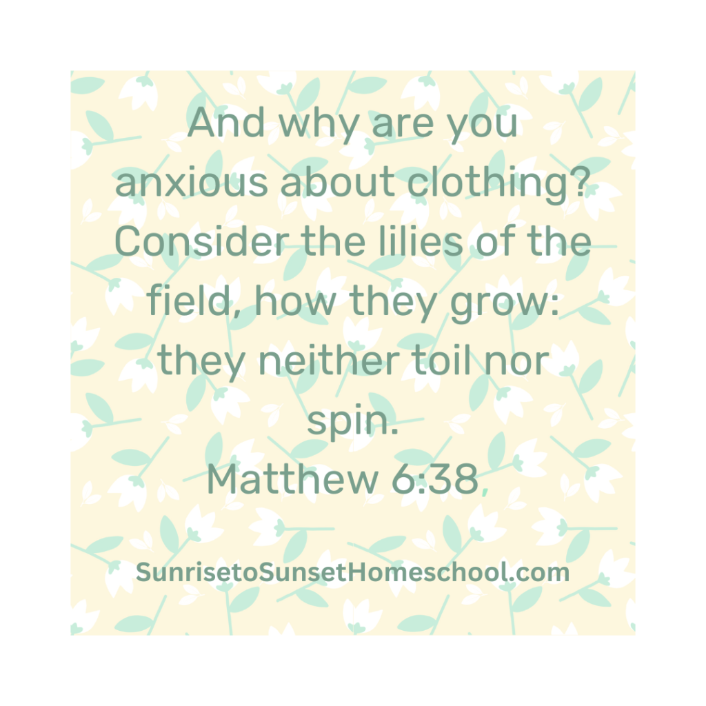 Matthew 6:38 for dealing with anxiety.